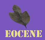 Eocene