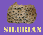 Silurian