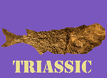 Triassic